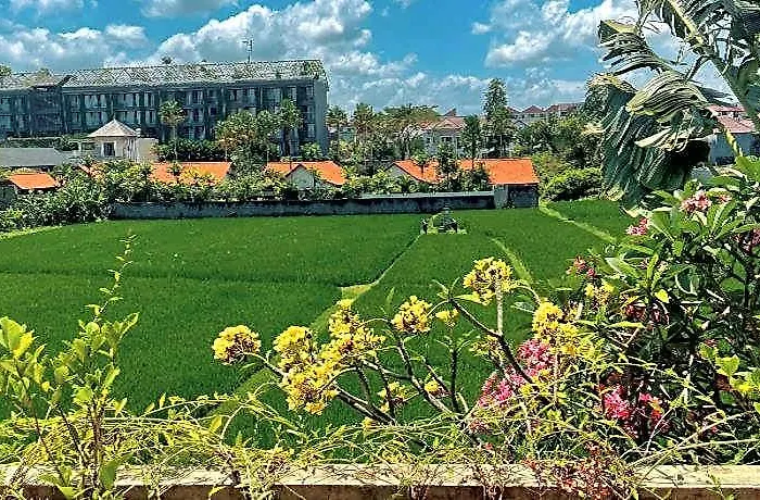 Ark Finns Cangu（fatty Lion ) Villa Canggu (Bali)